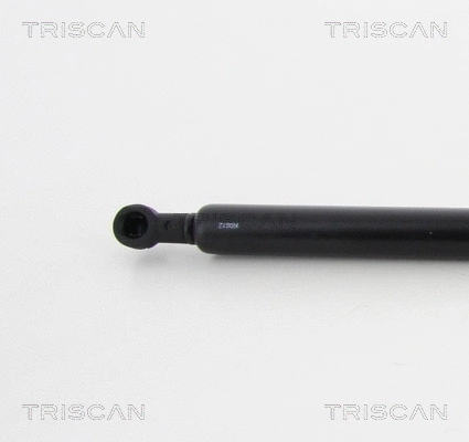 Gas Spring, boot/cargo area