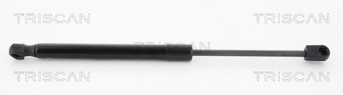 Gas Spring, boot/cargo area (8710 292107)