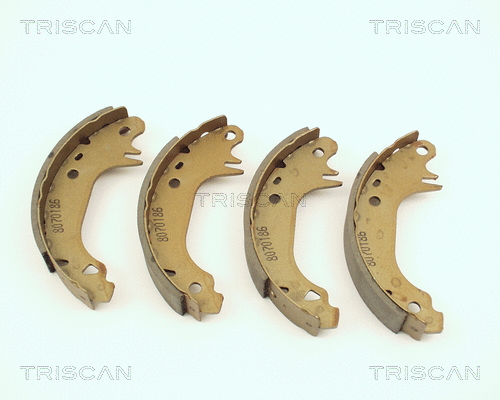 Brake Shoe Set (8100 38491)