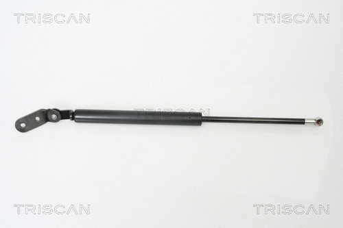 Gas Spring, boot/cargo area (8710 18216)