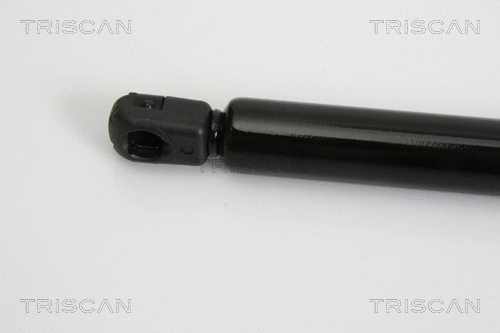 Gas Spring, boot/cargo area