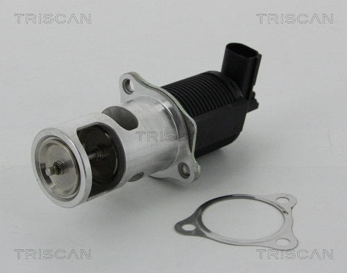 EGR Valve (8813 25038)