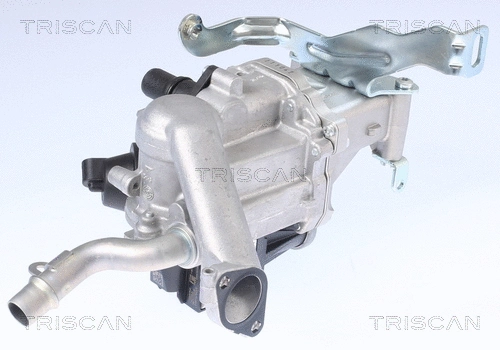 EGR Valve (8813 10106)