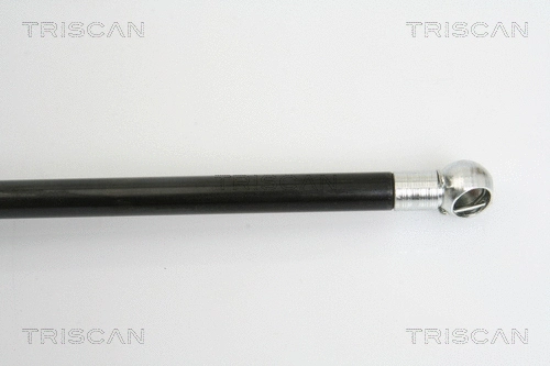 Gas Spring, boot/cargo area