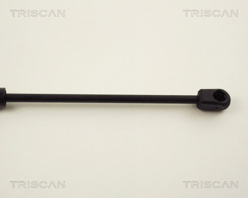 Gas Spring, boot/cargo area