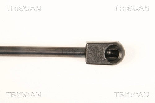 Gas Spring, boot/cargo area