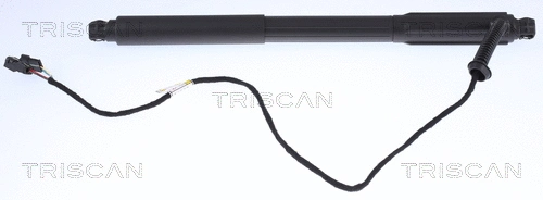 Gas Spring, boot/cargo area (8710 11303)