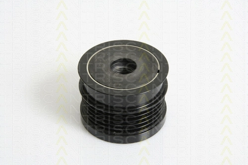 Alternator Freewheel Clutch (8641 244002)