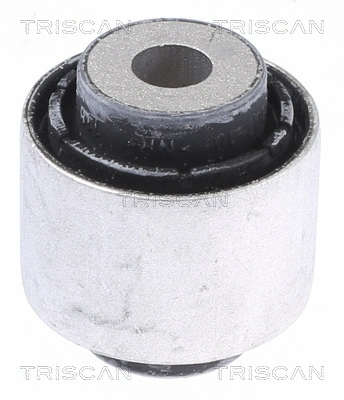 Mounting, control/trailing arm (8500 118018)