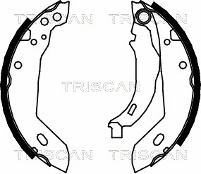 Brake Shoe Set (8100 10389)