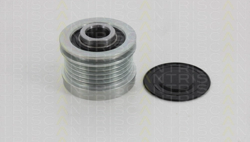 Alternator Freewheel Clutch (8641 234001)