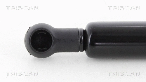 Gas Spring, boot/cargo area