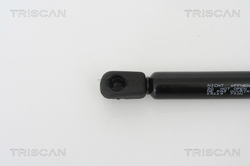 Gas Spring, boot/cargo area