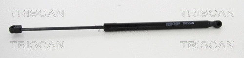 Gas Spring, boot/cargo area