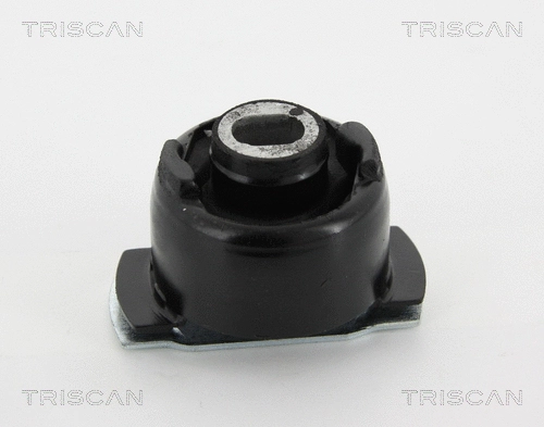 Bushing, axle beam (8500 25822)
