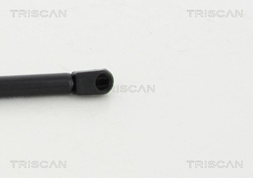 Gas Spring, boot/cargo area
