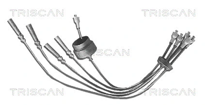 Ignition Cable Kit (8860 4038)