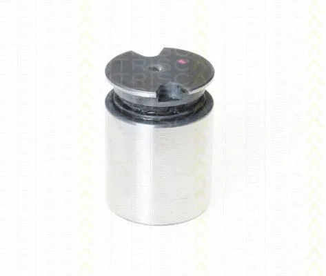 Piston, brake caliper (8170 233634)