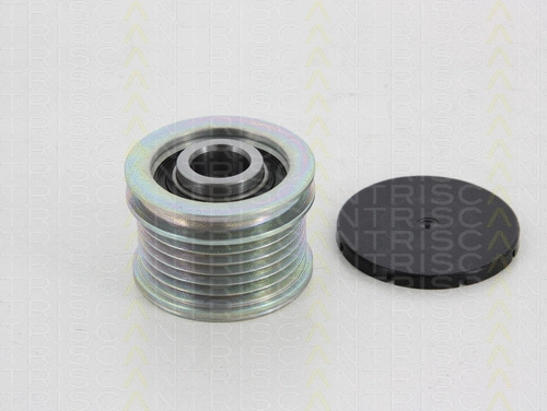 Alternator Freewheel Clutch (8641 284003)