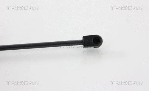 Gas Spring, boot/cargo area