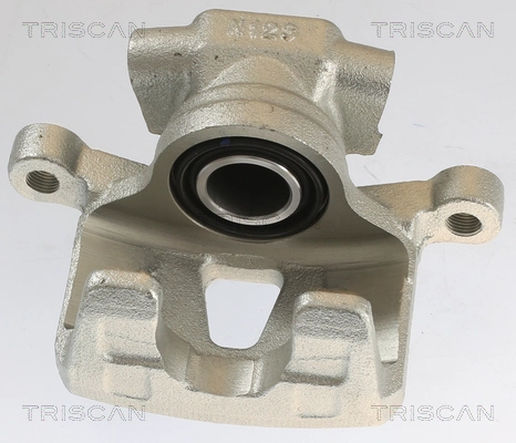 Brake Caliper (8175 10213)