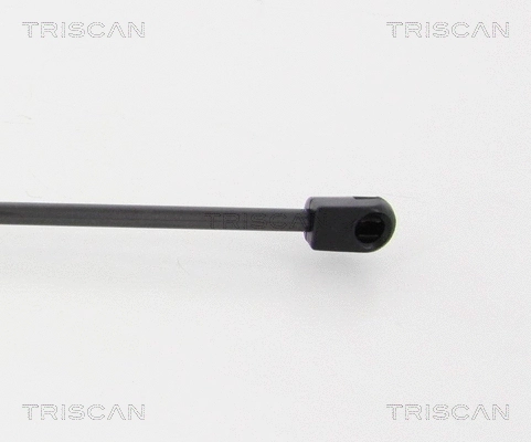 Gas Spring, boot/cargo area