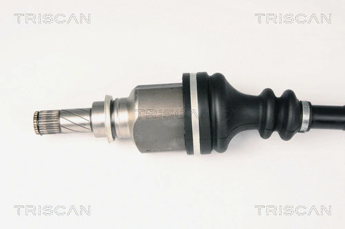 Drive Shaft
