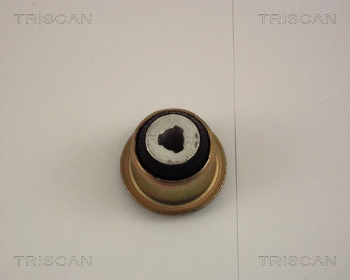 Mounting, control/trailing arm
