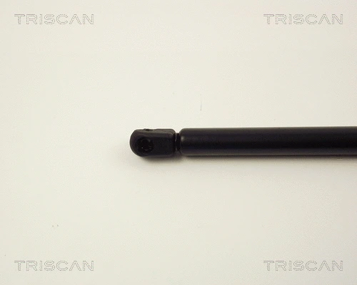 Gas Spring, boot/cargo area