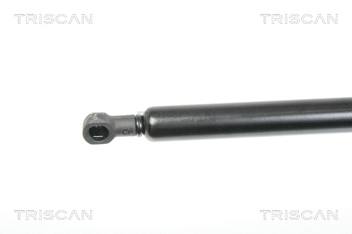 Gas Spring, boot/cargo area