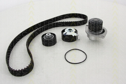 Water Pump & Timing Belt Kit (8647 280010)