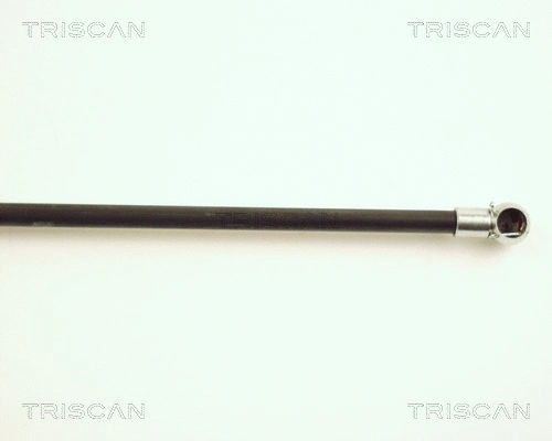 Gas Spring, boot/cargo area