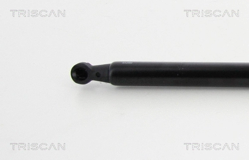 Gas Spring, boot/cargo area