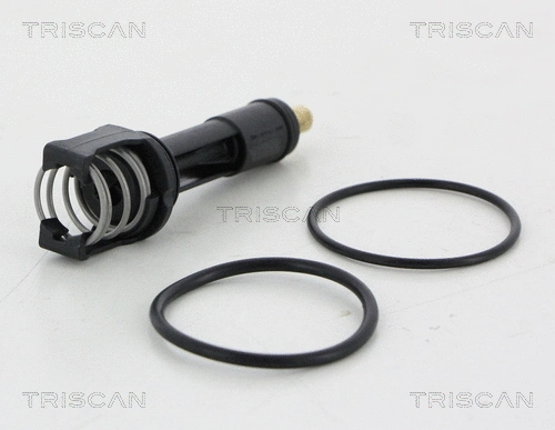 Thermostat, coolant (8620 456113)