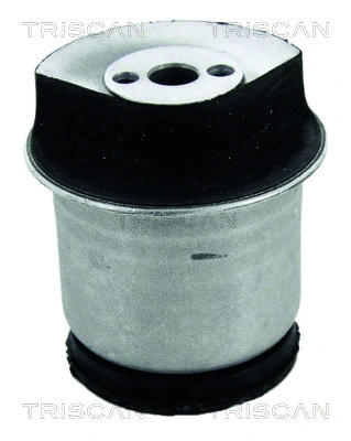 Bushing, axle beam (8500 24850)