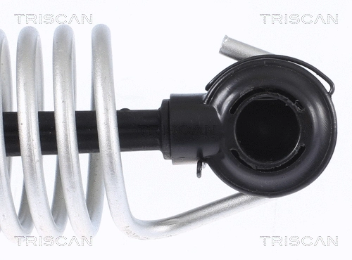Gas Spring, boot/cargo area