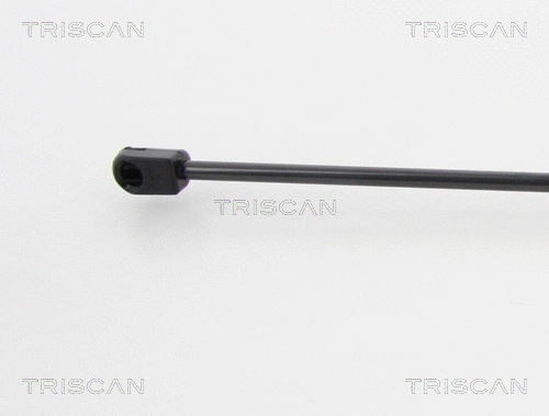 Gas Spring, boot/cargo area