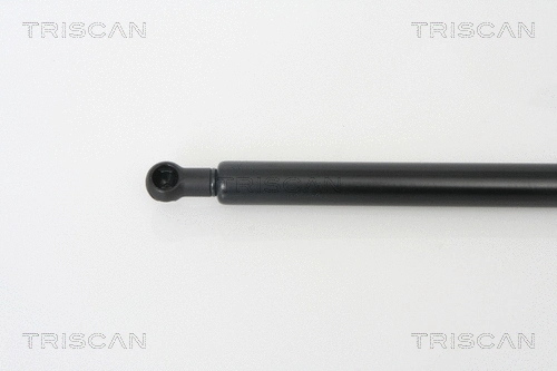 Gas Spring, bonnet