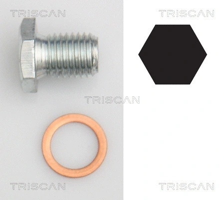 Screw Plug, oil sump (9500 1103)