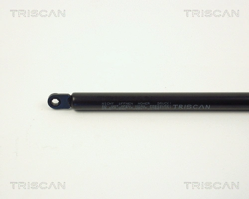 Gas Spring, boot/cargo area