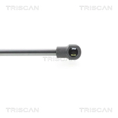 Gas Spring, boot/cargo area