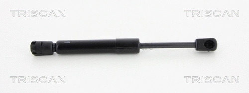 Gas Spring, boot/cargo area (8710 23223)