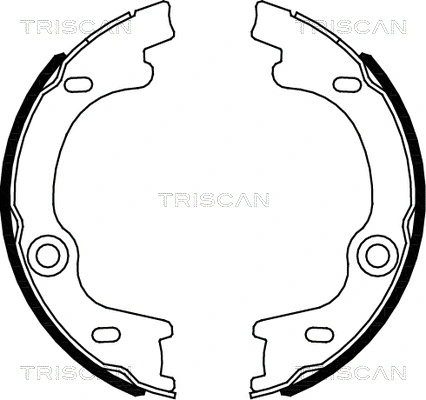 Brake Shoe Set, parking brake (8100 18010)