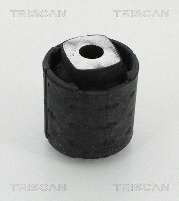Bushing, axle beam (8500 118005)