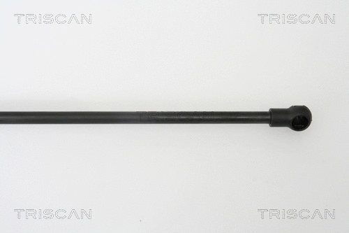 Gas Spring, boot/cargo area