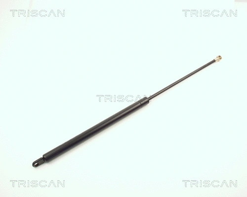 Gas Spring, boot/cargo area (8710 2902)