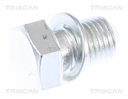 Screw Plug, oil sump
