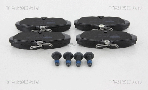 Brake Pad Set, disc brake (8110 10580)