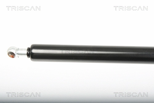 Gas Spring, boot/cargo area