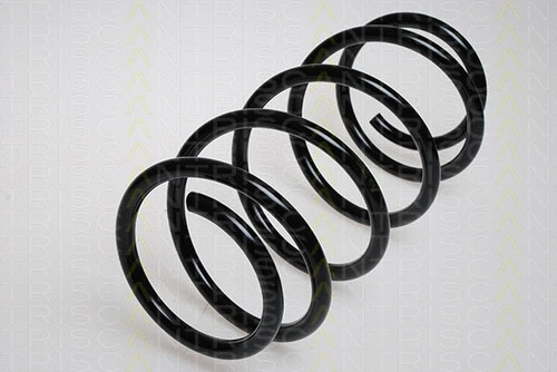 Suspension Spring (8750 29053)